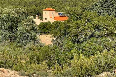 Farm hus i Almansa, Albacete, Almansa - € 560.000 | Ref: SF0516 - foto 44